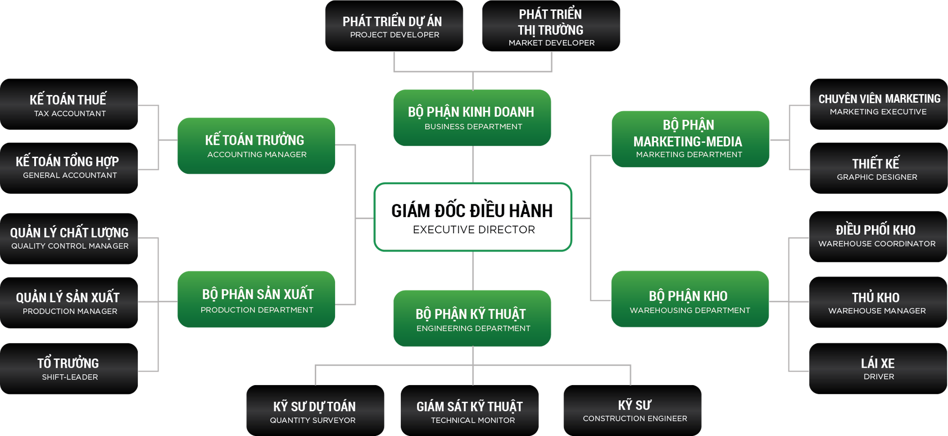 Cơ cấu tổ chức